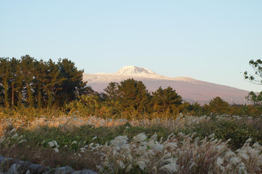 Yerae Pension Seogwipo Esterno foto